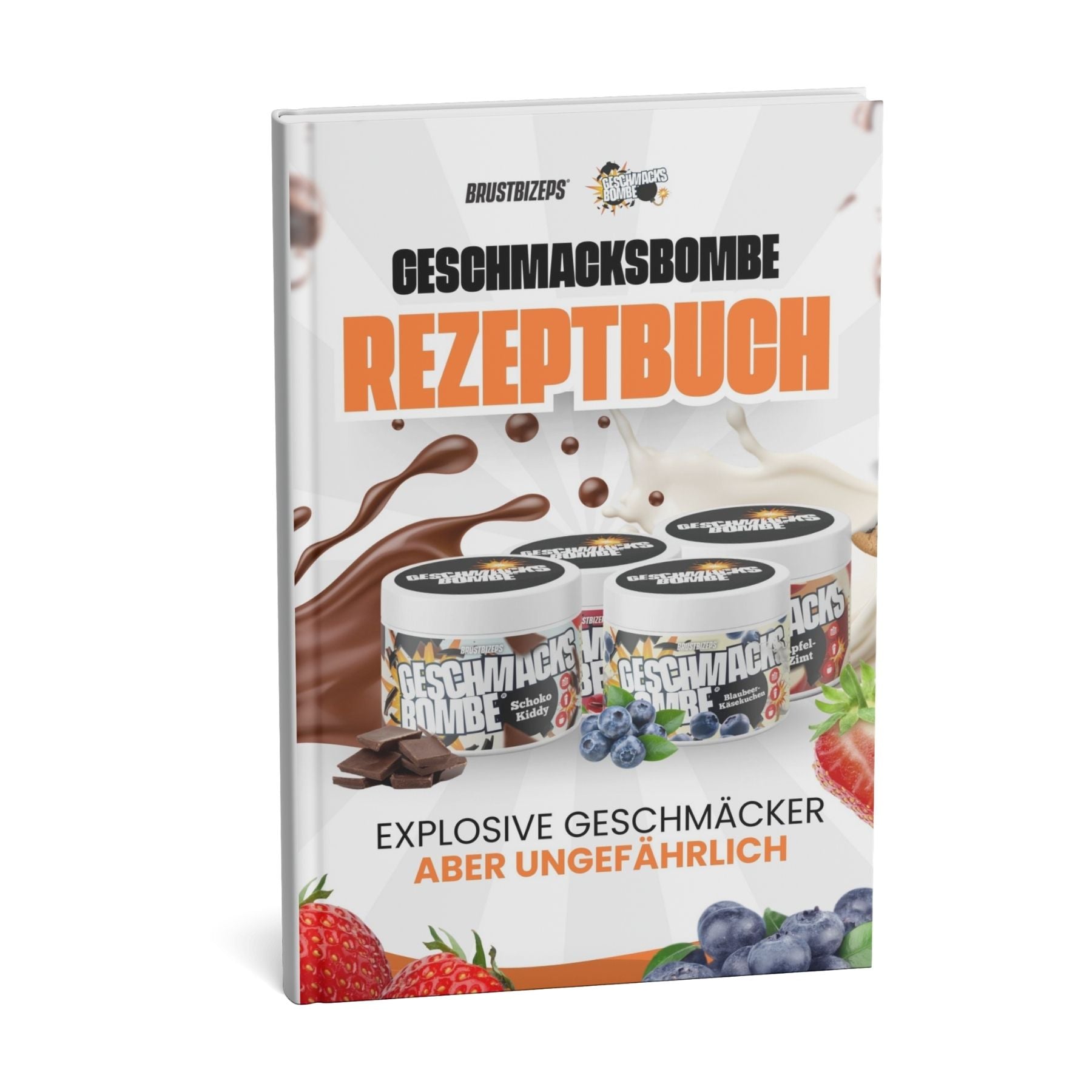 Geschmacksbombe Rezeptbuch (PDF)