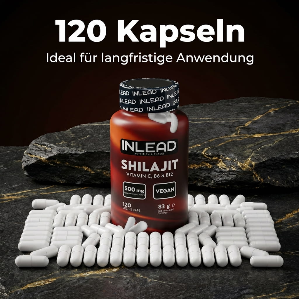 Shilajit, 120 Kaps.