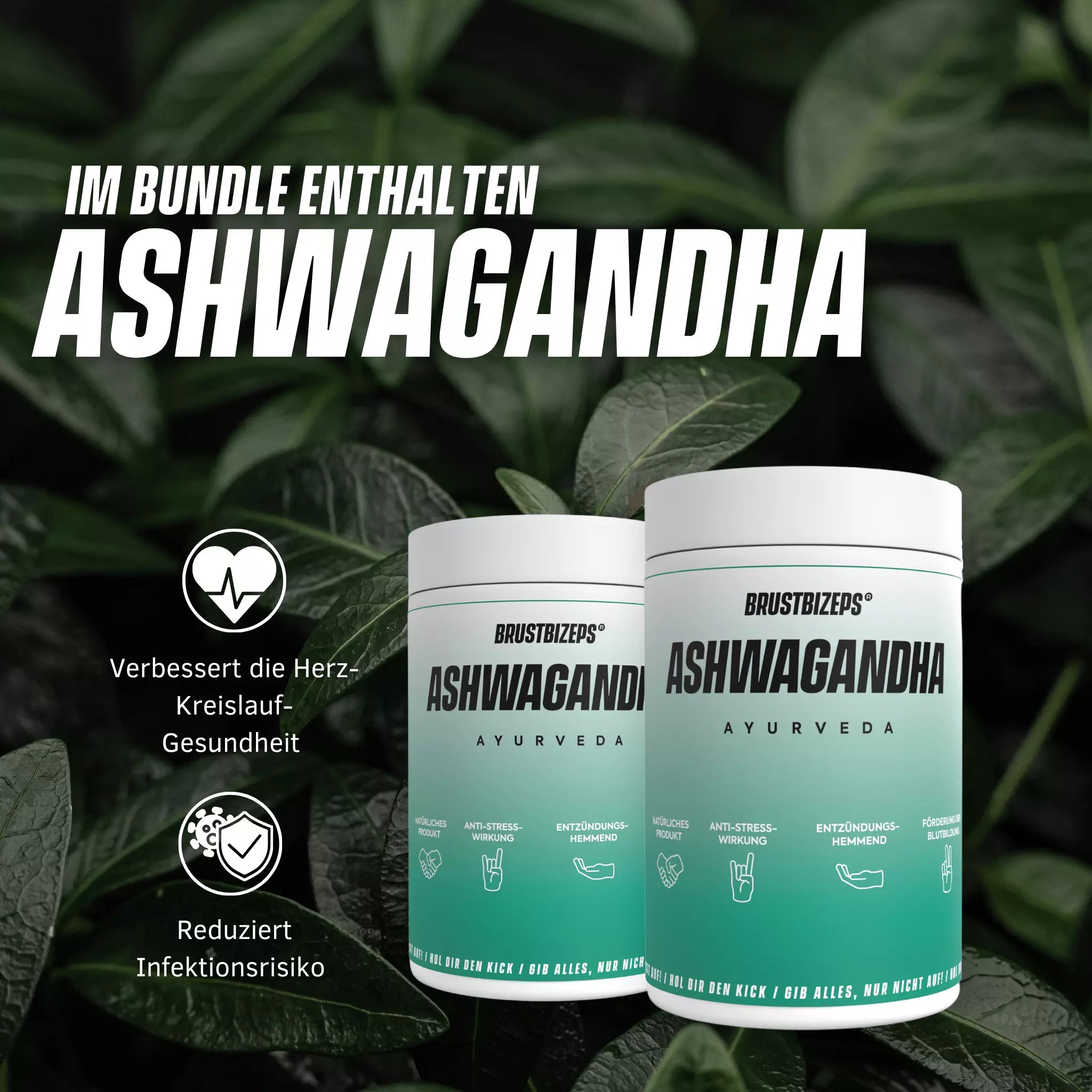 Ashwagandha Kapseln