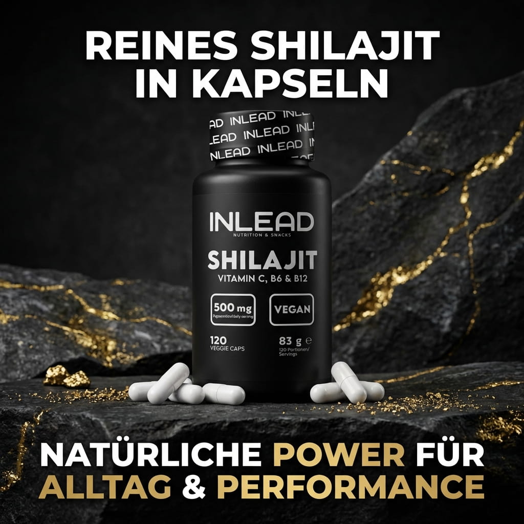 Shilajit, 120 Kaps.